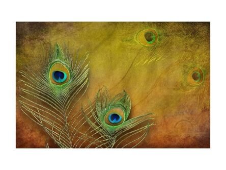 Beautiful Peacock Feather WallPaper For Wall - Image 2